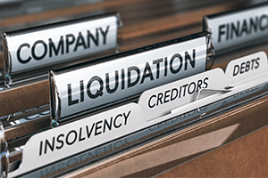 voluntary liquidation process