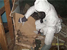 Asbestos removal Oxford