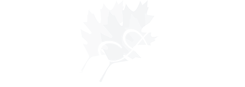 tree surgeons chelmsford